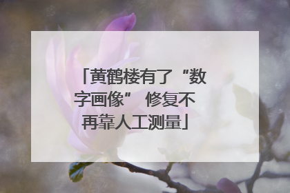 黄鹤楼有了“数字画像” 修复不再靠人工测量