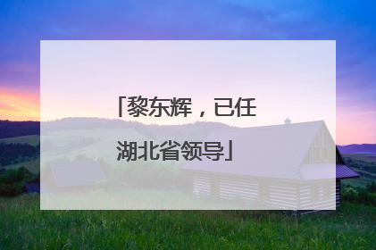 黎东辉，已任湖北省领导