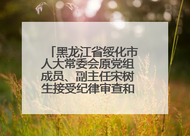 黑龙江省绥化市人大常委会原党组成员、副主任宋树生接受纪律审查和监察调查