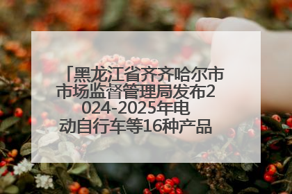 黑龙江省齐齐哈尔市市场监督管理局发布2024-2025年电动自行车等16种产品质量监督抽查情况