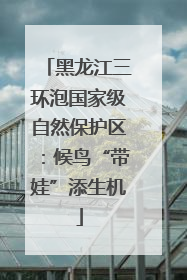黑龙江三环泡国家级自然保护区：候鸟“带娃”添生机