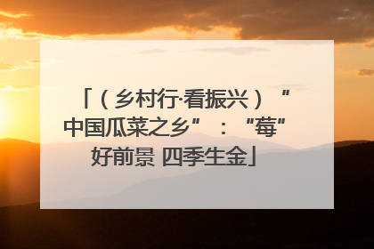（乡村行·看振兴）“中国瓜菜之乡”：“莓”好前景 四季生金