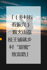 （乡村行·看振兴）一颗火山荔枝王铺就乡村“甜蜜”致富路