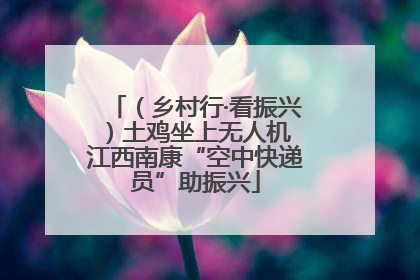 （乡村行·看振兴）土鸡坐上无人机 江西南康“空中快递员”助振兴