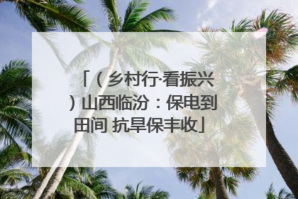 （乡村行·看振兴）山西临汾：保电到田间 抗旱保丰收