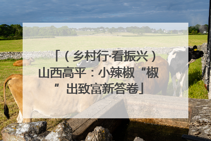 （乡村行·看振兴）山西高平：小辣椒“椒”出致富新答卷