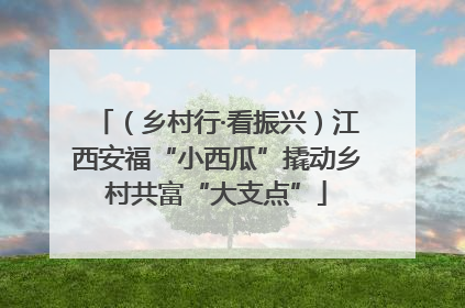 （乡村行·看振兴）江西安福“小西瓜”撬动乡村共富“大支点”