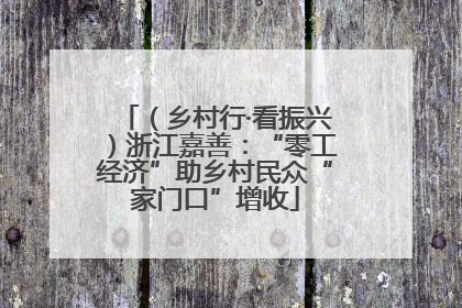 （乡村行·看振兴）浙江嘉善：“零工经济”助乡村民众“家门口”增收