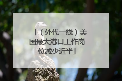 （外代一线）美国最大港口工作岗位减少近半