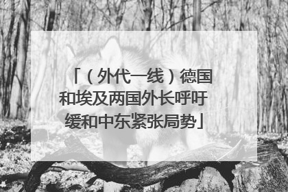 （外代一线）德国和埃及两国外长呼吁缓和中东紧张局势