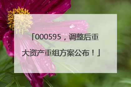 000595，调整后重大资产重组方案公布！