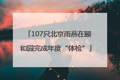 107只北京雨燕在颐和园完成年度“体检”