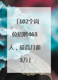 102个岗位招聘463人，最高月薪3万