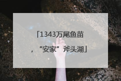 1343万尾鱼苗，“安家”斧头湖