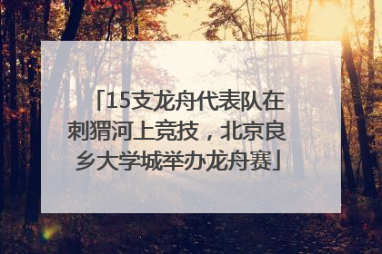 15支龙舟代表队在刺猬河上竞技，北京良乡大学城举办龙舟赛