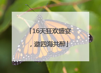 16天狂欢盛宴，邀四海共醉