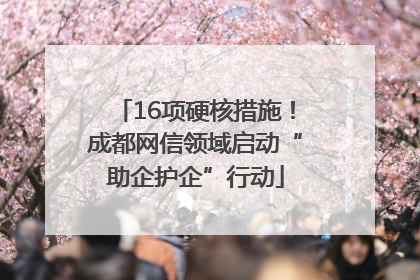 16项硬核措施！成都网信领域启动“助企护企”行动