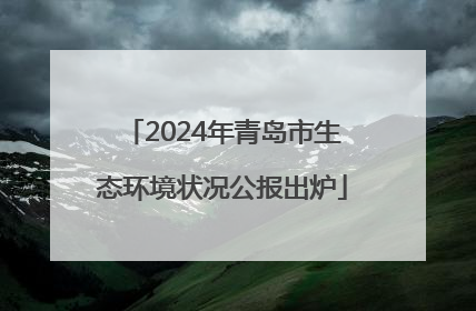 2024年青岛市生态环境状况公报出炉