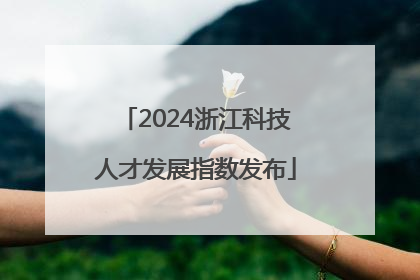 2024浙江科技人才发展指数发布