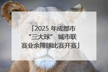 2025 年成都市 “三大球” 城市联赛业余排球比赛开赛