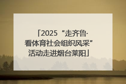 2025“走齐鲁·看体育社会组织风采”活动走进烟台莱阳