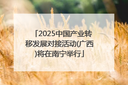 2025中国产业转移发展对接活动(广西)将在南宁举行