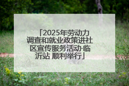 2025年劳动力调查和就业政策进社区宣传服务活动·临沂站 顺利举行