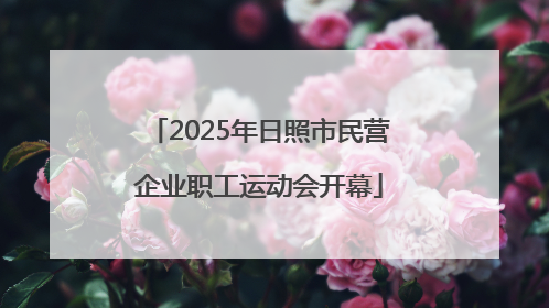 2025年日照市民营企业职工运动会开幕