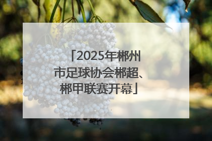 2025年郴州市足球协会郴超、郴甲联赛开幕
