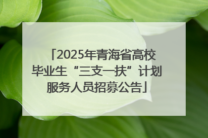 2025年青海省高校毕业生“三支一扶”计划服务人员招募公告