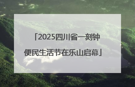 2025四川省一刻钟便民生活节在乐山启幕