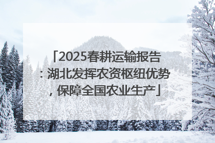 2025春耕运输报告：湖北发挥农资枢纽优势，保障全国农业生产
