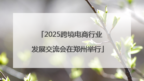 2025跨境电商行业发展交流会在郑州举行