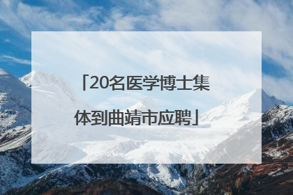 20名医学博士集体到曲靖市应聘