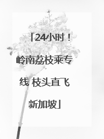 24小时！岭南荔枝乘专线 枝头直飞新加坡