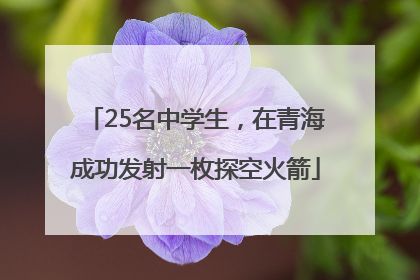 25名中学生，在青海成功发射一枚探空火箭