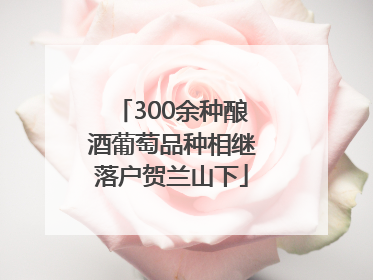 300余种酿酒葡萄品种相继落户贺兰山下