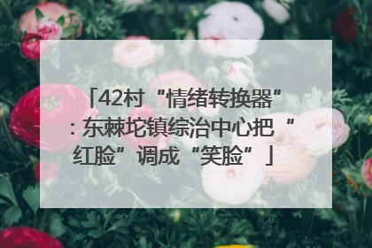 42村“情绪转换器”：东棘坨镇综治中心把“红脸”调成“笑脸”