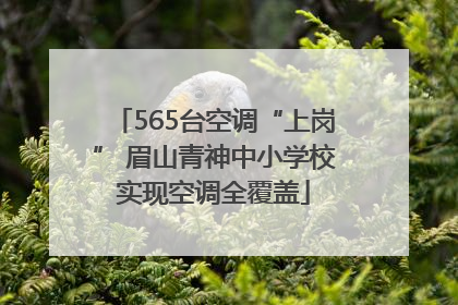 565台空调“上岗” 眉山青神中小学校实现空调全覆盖
