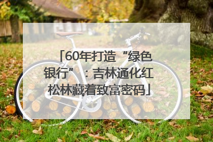 60年打造“绿色银行”：吉林通化红松林藏着致富密码
