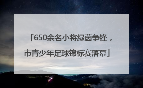 650余名小将绿茵争锋，市青少年足球锦标赛落幕