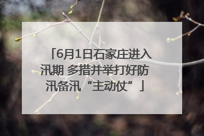 6月1日石家庄进入汛期 多措并举打好防汛备汛“主动仗”