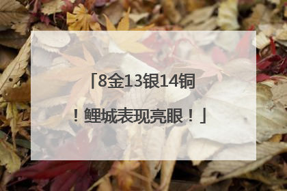 8金13银14铜！鲤城表现亮眼！