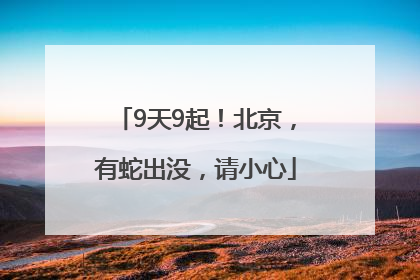9天9起！北京，有蛇出没，请小心
