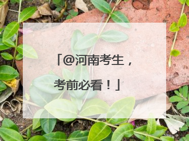 @河南考生，考前必看！