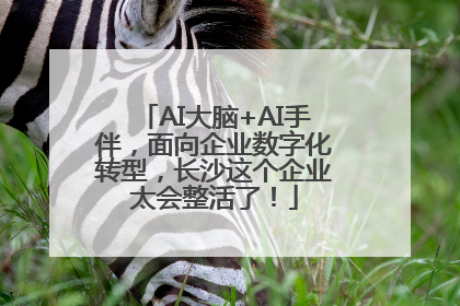 AI大脑+AI手伴，面向企业数字化转型，长沙这个企业太会整活了！