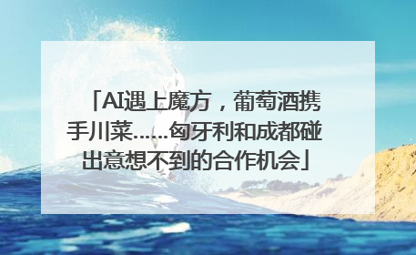 AI遇上魔方，葡萄酒携手川菜……匈牙利和成都碰出意想不到的合作机会