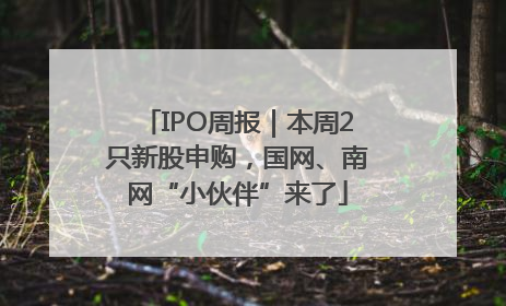 IPO周报｜本周2只新股申购，国网、南网“小伙伴”来了