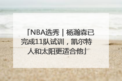 NBA选秀｜杨瀚森已完成11队试训，凯尔特人和太阳更适合他
