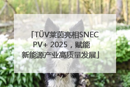 TÜV莱茵亮相SNEC PV+ 2025，赋能新能源产业高质量发展